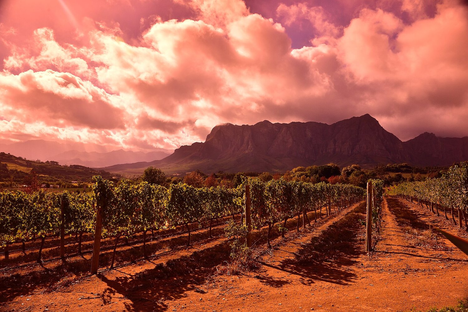 Franschhoek wine region landscape. Photo: South African Tourism from South Africa (CC BY 2.0), via Wikimedia Commons