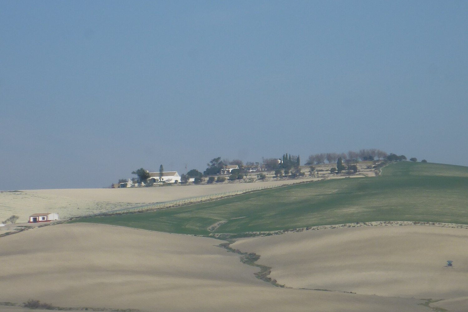 Jerez wine region landscape. Photo: El Pantera (CC BY-SA 4.0), via Wikimedia Commons