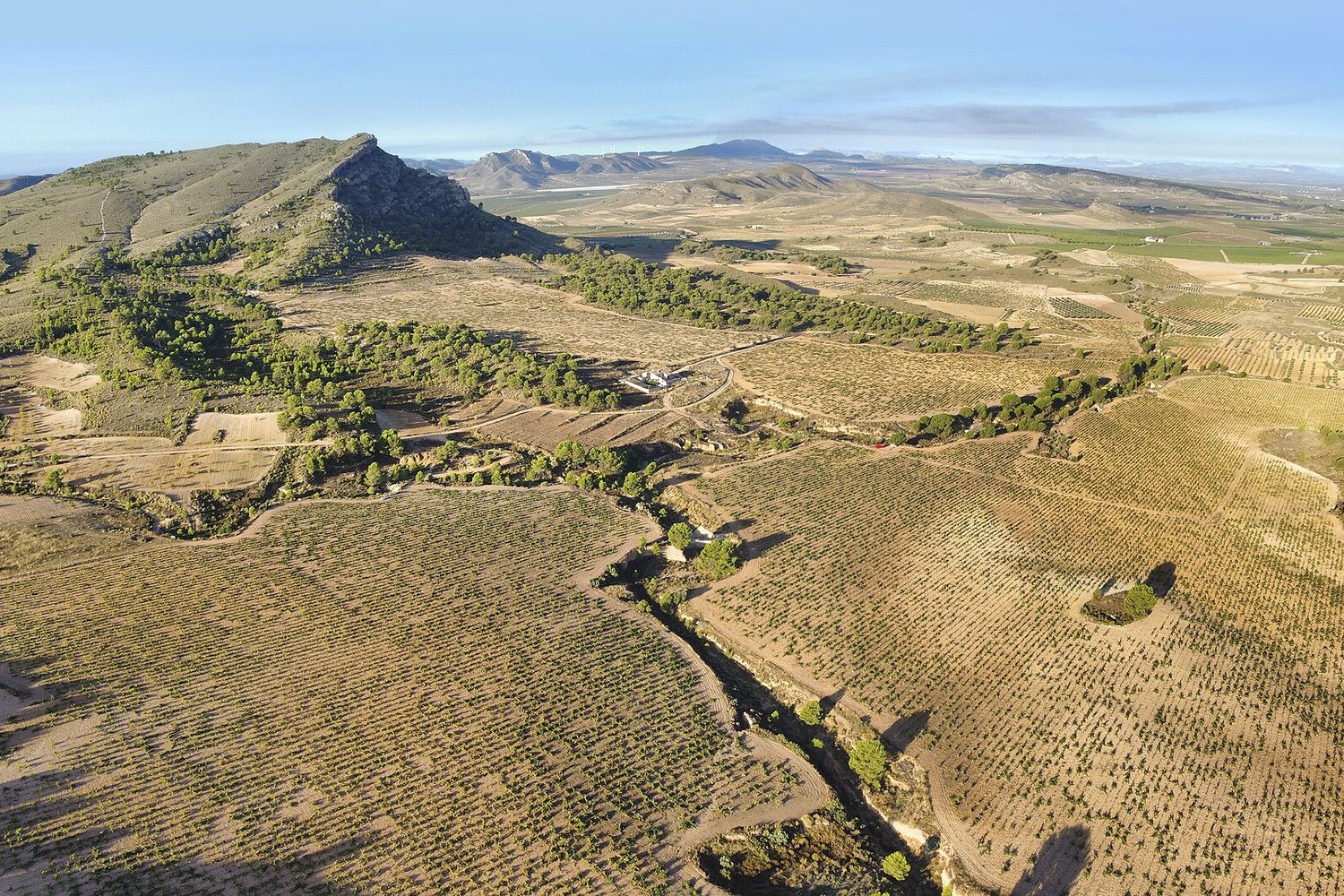 Jumilla wine region landscape. Photo: Malegaetan (CC BY-SA 4.0), via Wikimedia Commons (cropped)