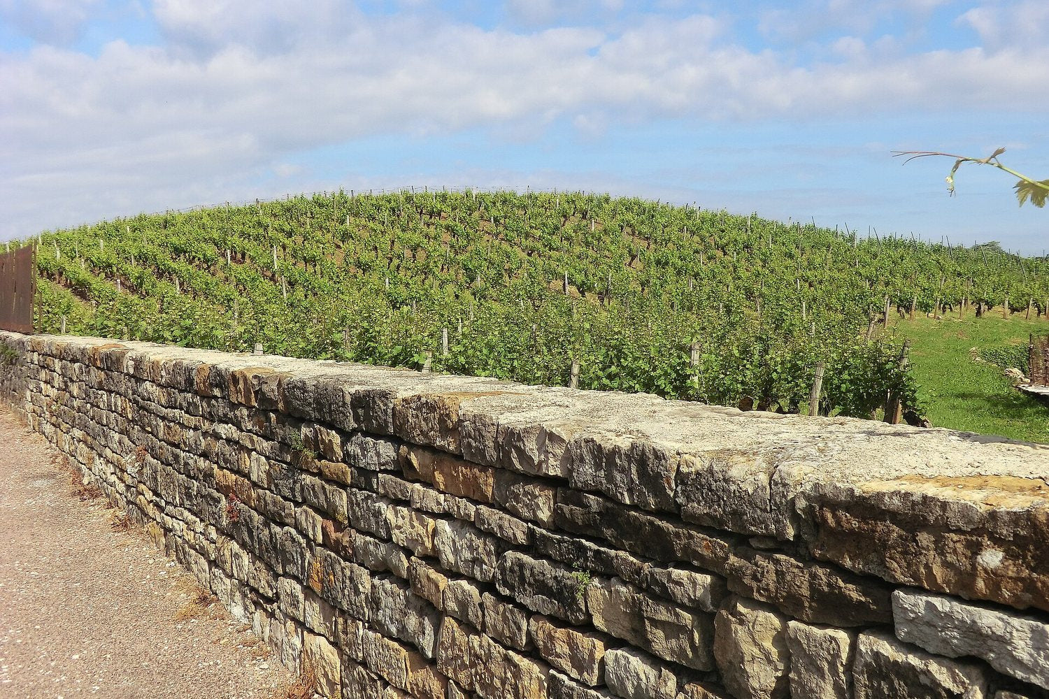 Jura wine region landscape. Photo: Benoît Prieur (CC0), via Wikimedia Commons (cropped)