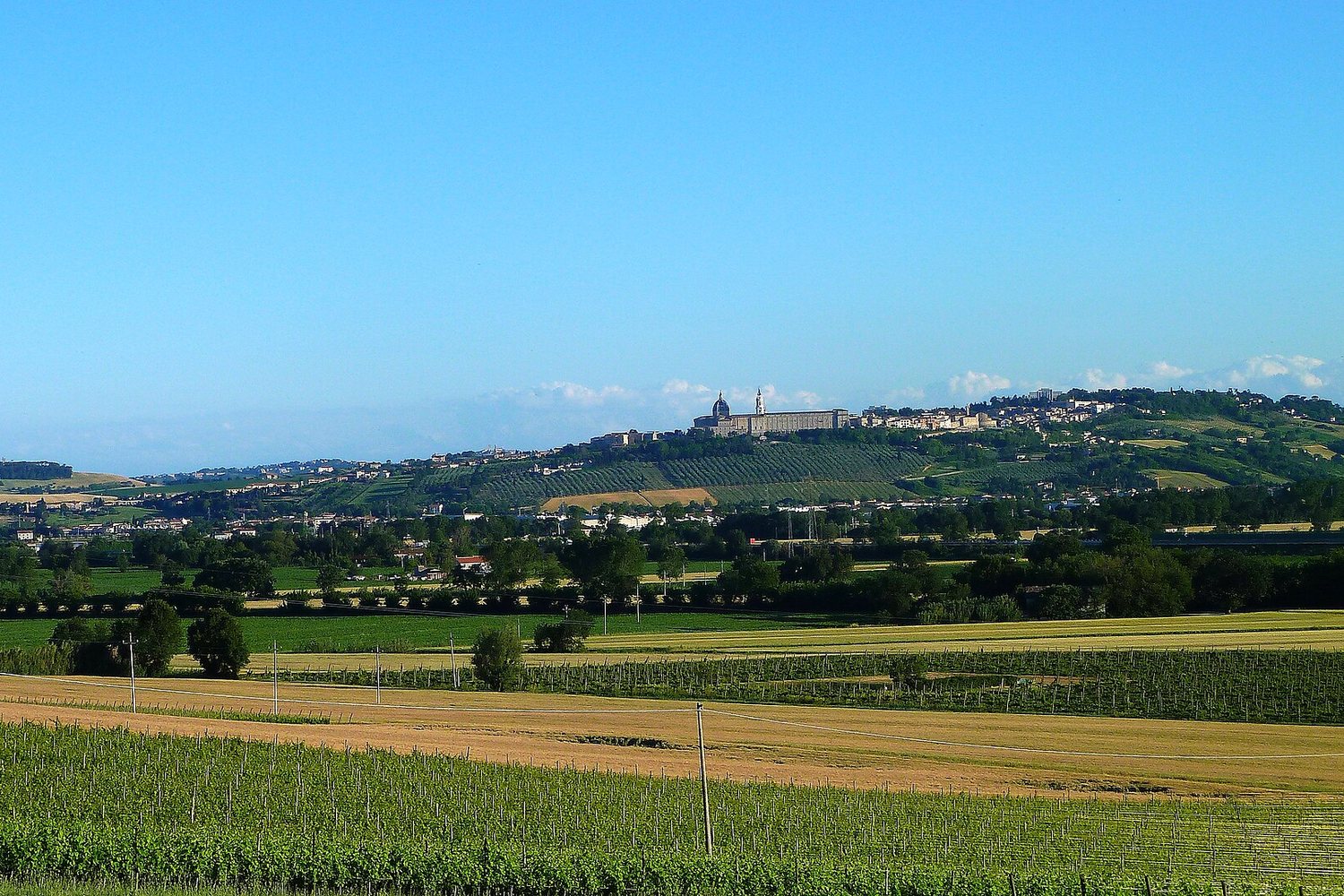 Marche wine region landscape. Photo: Luca Sbardella (CC BY 2.0), via Wikimedia Commons (cropped)