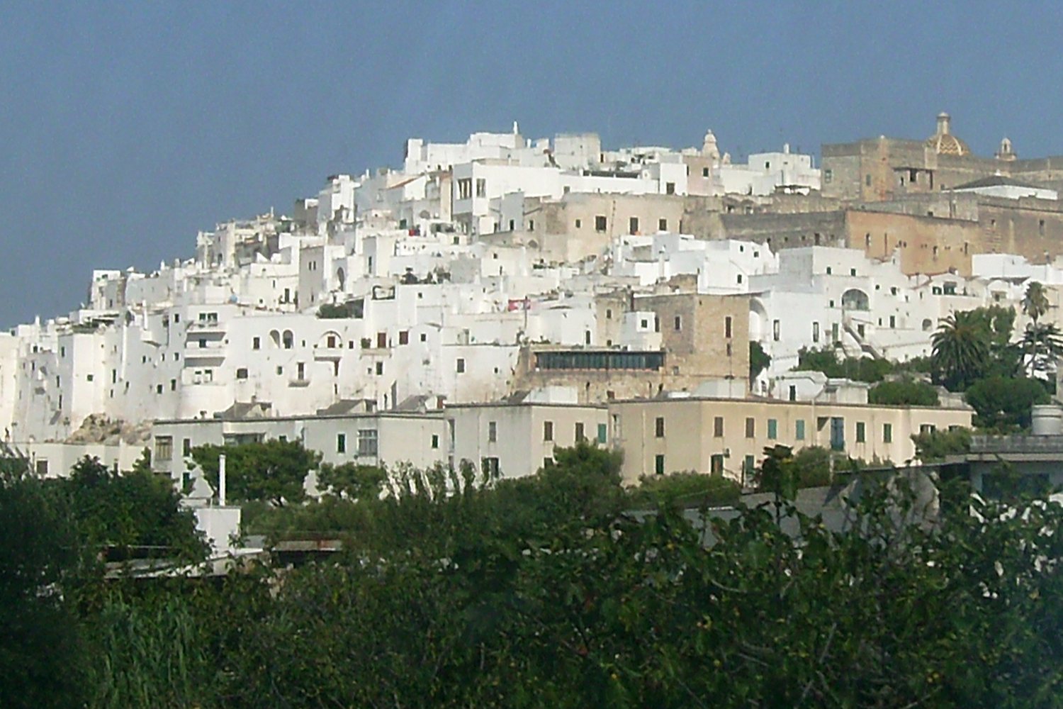 Puglia wine region landscape. Photo: David Orban (CC BY 2.0), via Wikimedia Commons (cropped)