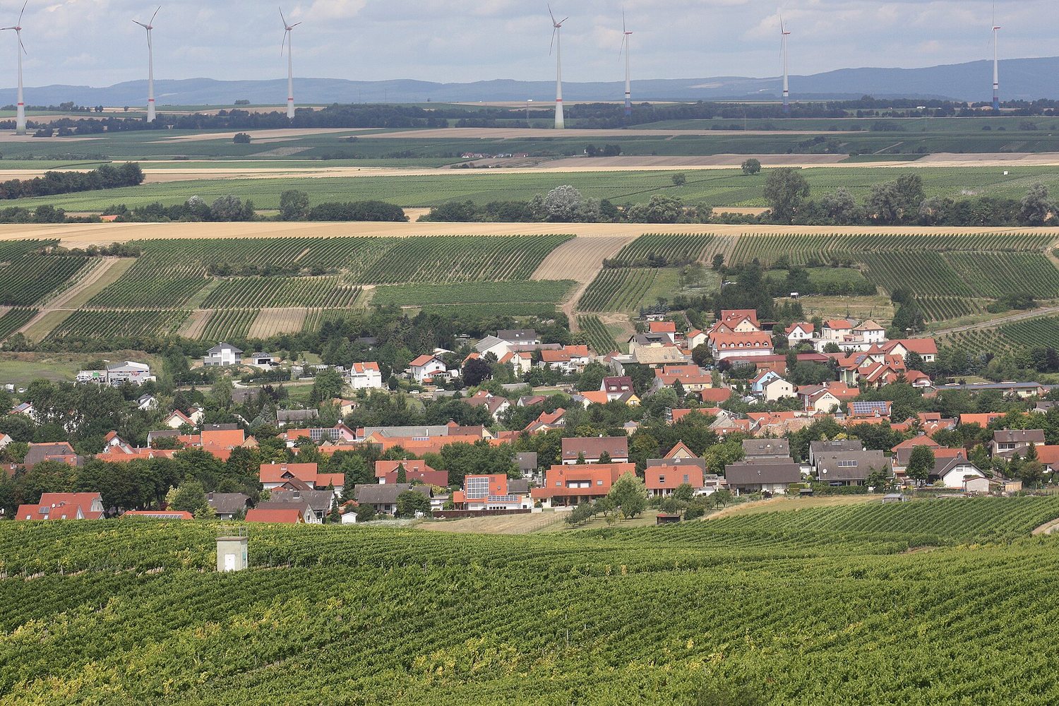 Rheinhessen wine region landscape. Photo: Dguendel (CC BY 3.0), via Wikimedia Commons