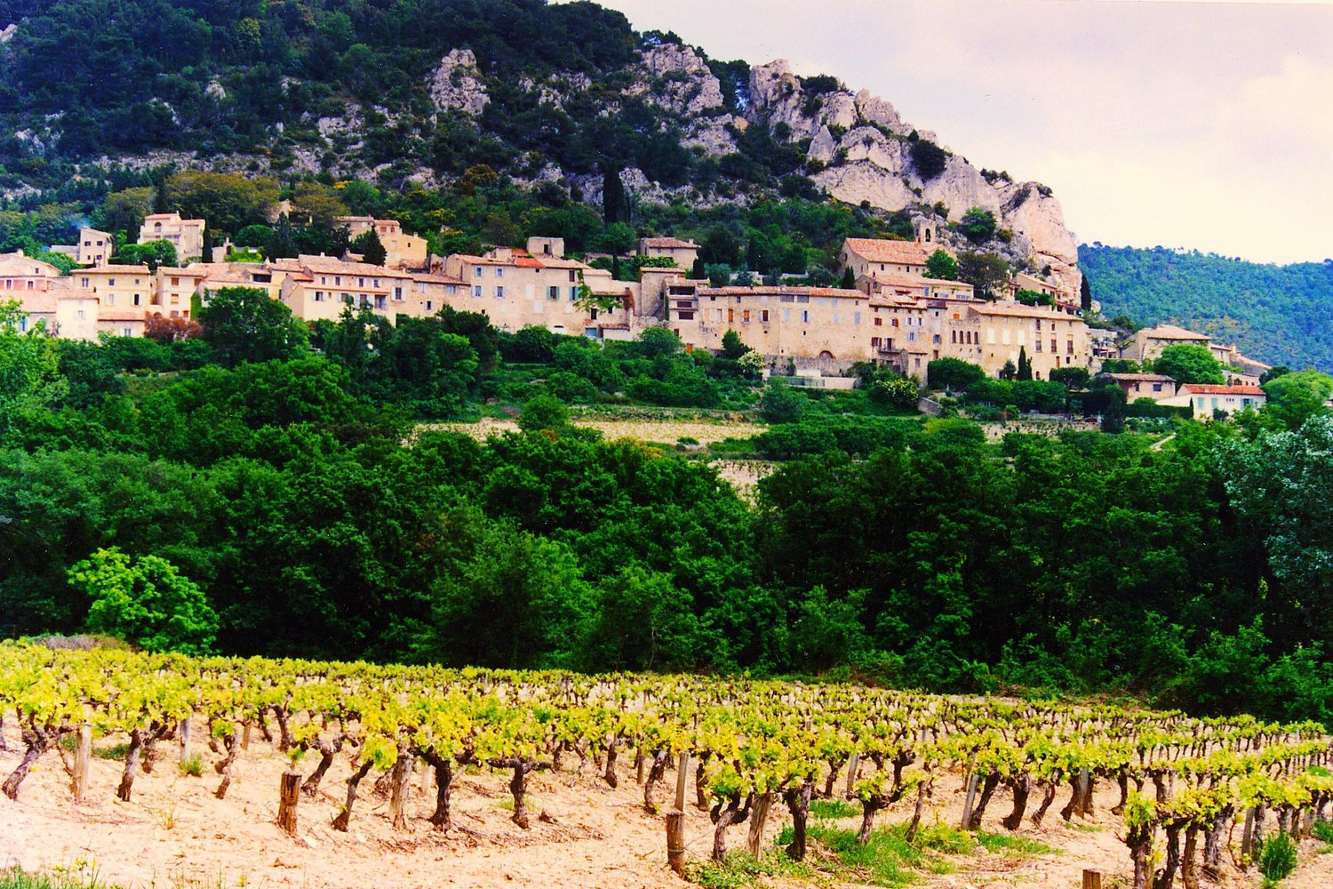 Rhône wine region landscape. Photo: Phillip Capper (CC BY 2.0), via Wikimedia Commons