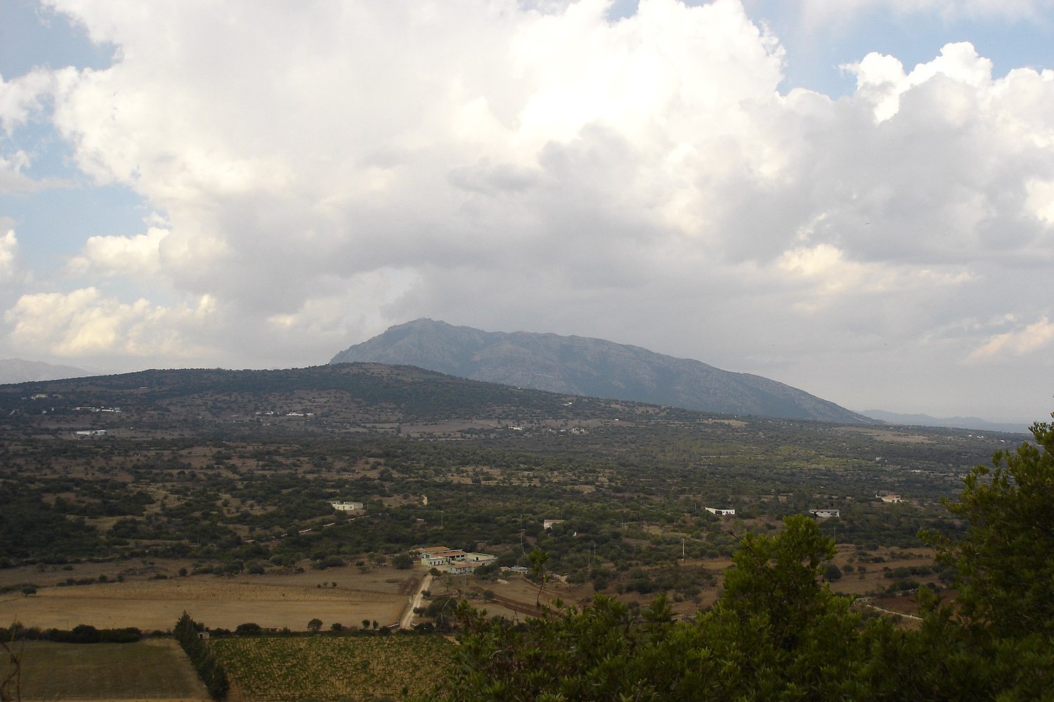 Sardinia wine region landscape. Photo: claire rowland from london, uk (CC BY 2.0), via Wikimedia Commons