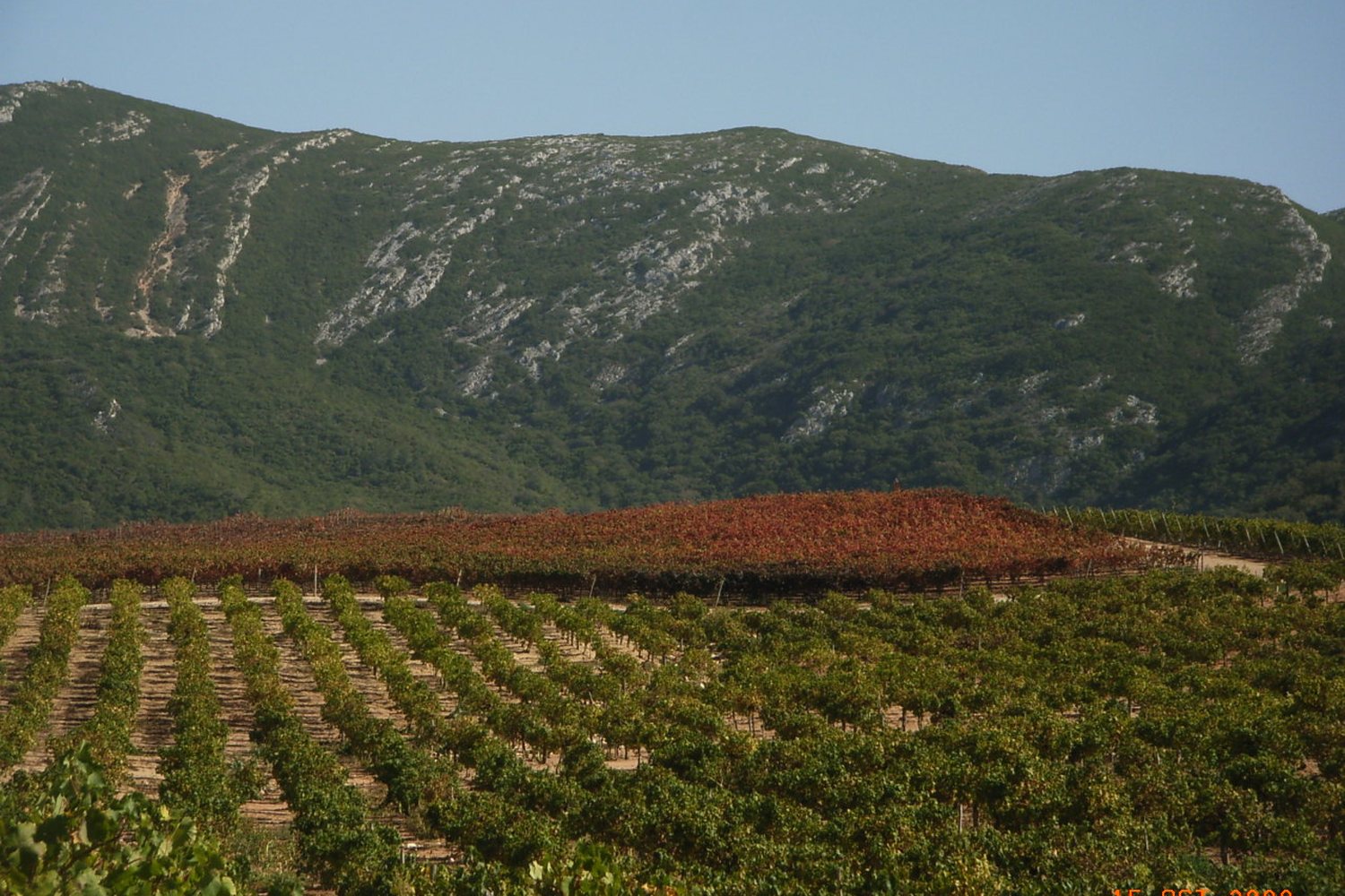 Setúbal Peninsula wine region landscape. Photo: Cossel (CC BY 3.0), via Wikimedia Commons (cropped)