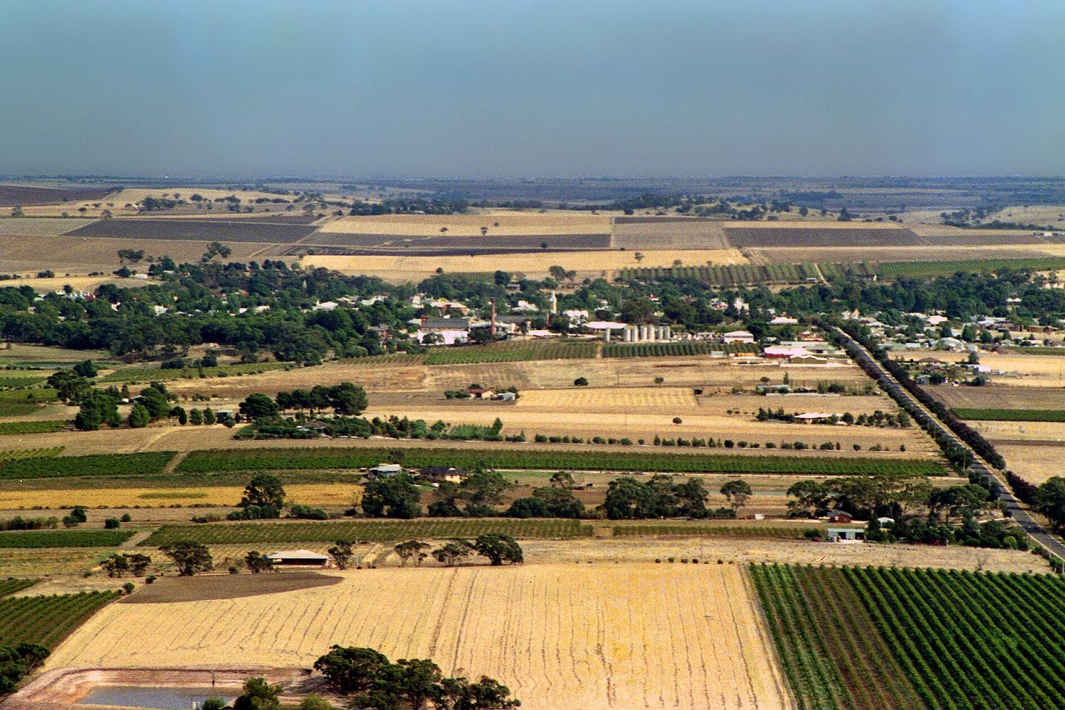 South Australia wine region landscape. Photo: Phillip Capper (CC BY 2.0), via Wikimedia Commons