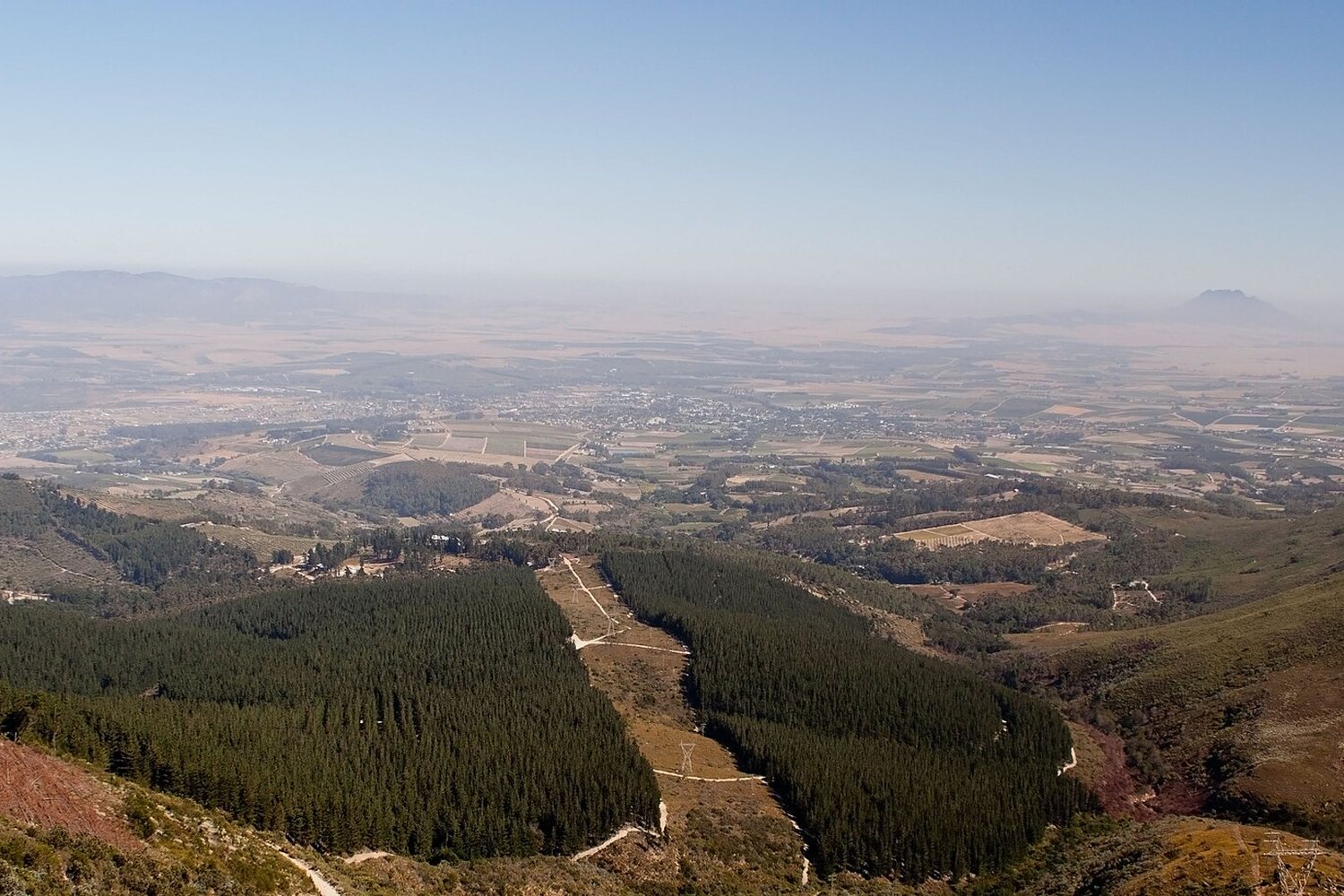 Swartland wine region landscape. Photo: Azwi (CC BY-SA 3.0), via Wikimedia Commons
