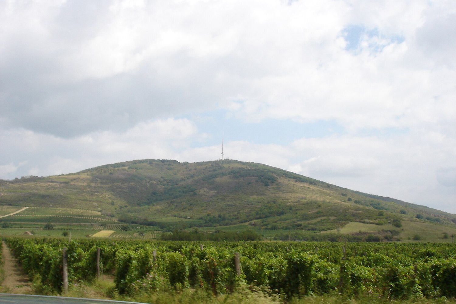 Tokaj wine region landscape. Photo: Kressl (CC BY 3.0), via Wikimedia Commons