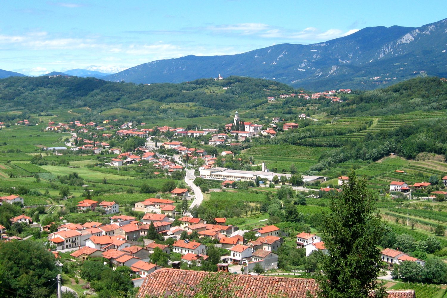 Vipava Valley wine region landscape. Photo: Sl-Ziga (Public domain), via Wikimedia Commons
