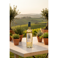 Penitino Pinot Grigio bottle displayed on a sunlit Italian vineyard terrace with rolling vineyards in the background.