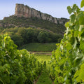 Maison Auvigue Mâcon Solutré-Pouilly 2022 – Wine, Burgundy lifestyle photograph 2