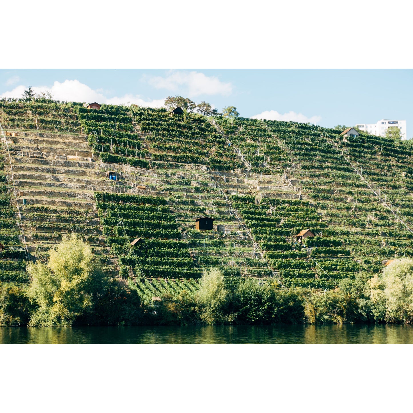 Port & Fortified Wine Tasting – Friday 21st November 7-9pm